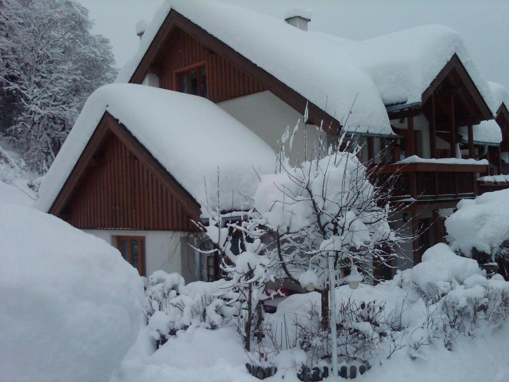 Ferienhaus Waldsicht Flachau Eksteriør bilde